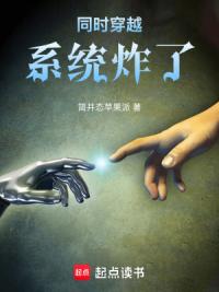 同时穿越：系统炸了